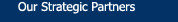 Our Strategic Partners