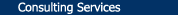 Consulting Services