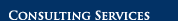 Consulting Services